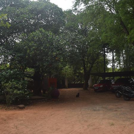 Travellers Crib Hotel Auroville Eksteriør billede