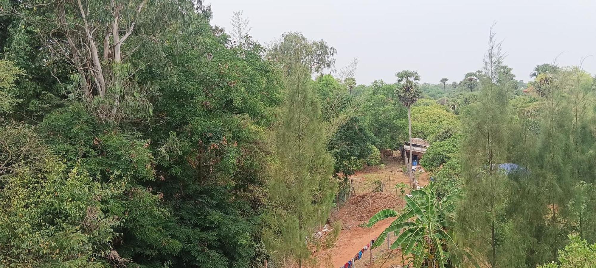 Travellers Crib Hotel Auroville Eksteriør billede
