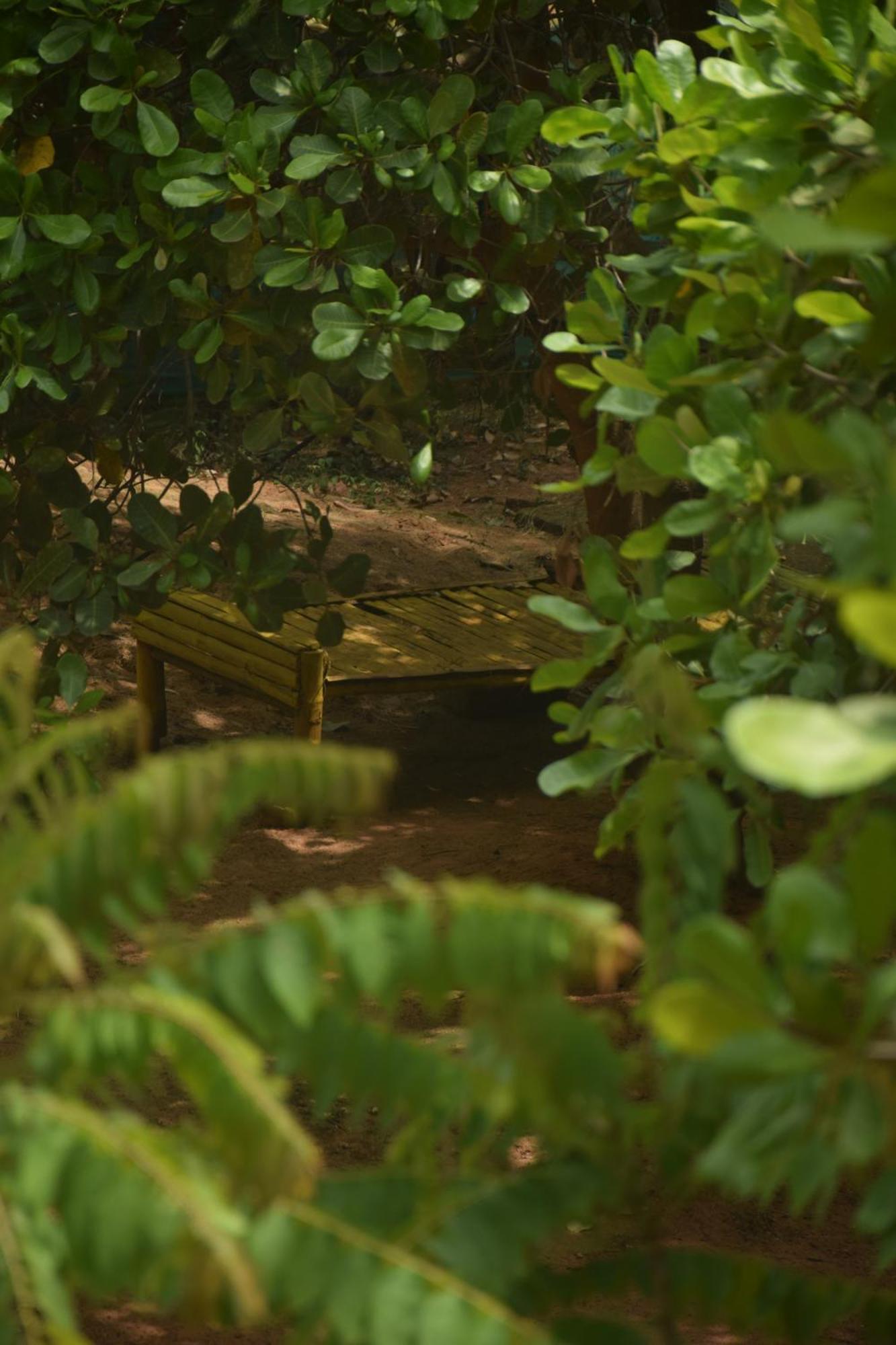 Travellers Crib Hotel Auroville Eksteriør billede