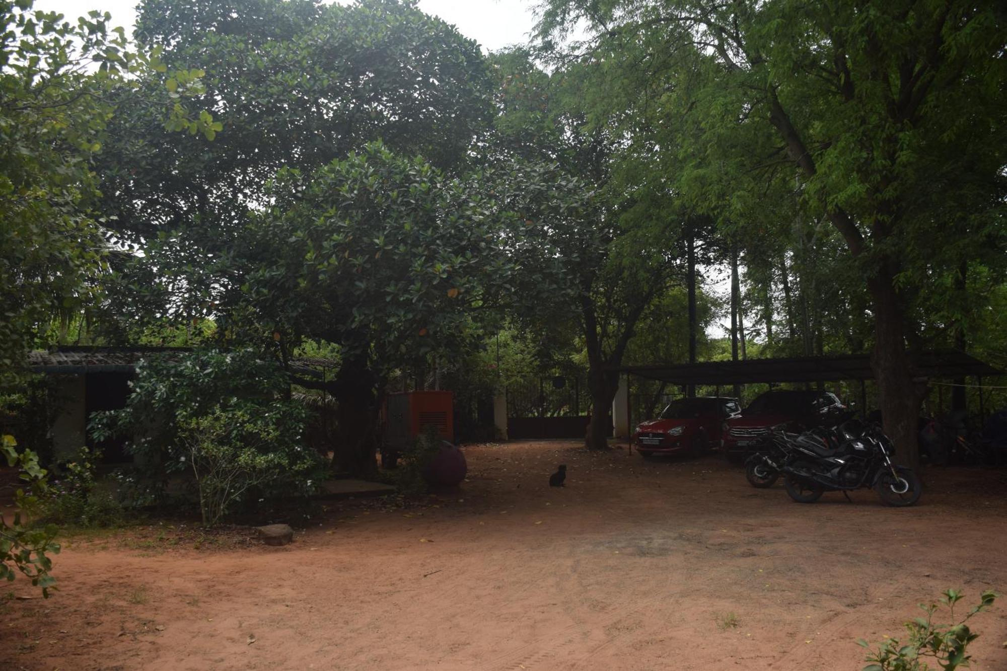 Travellers Crib Hotel Auroville Eksteriør billede