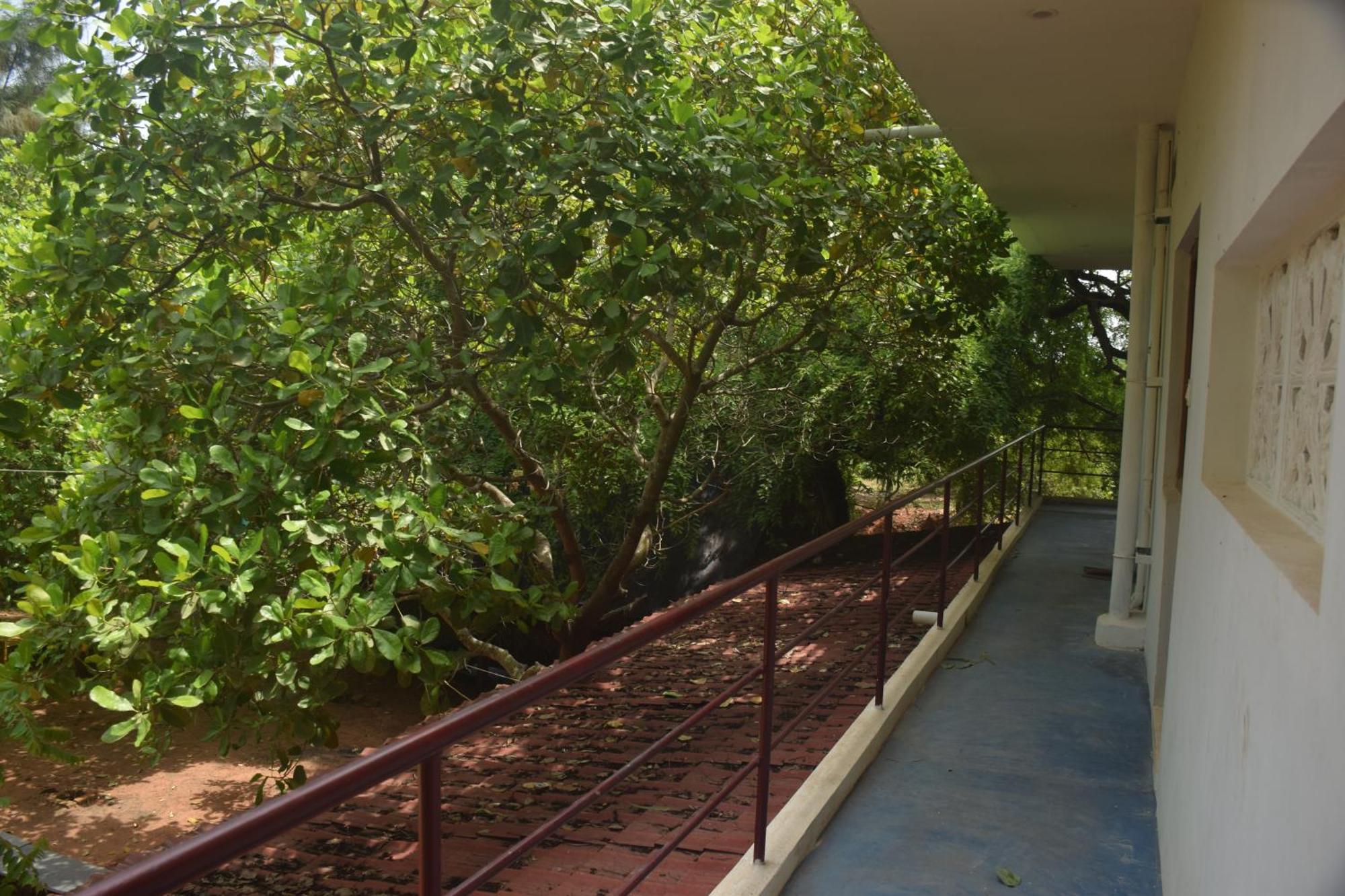 Travellers Crib Hotel Auroville Eksteriør billede
