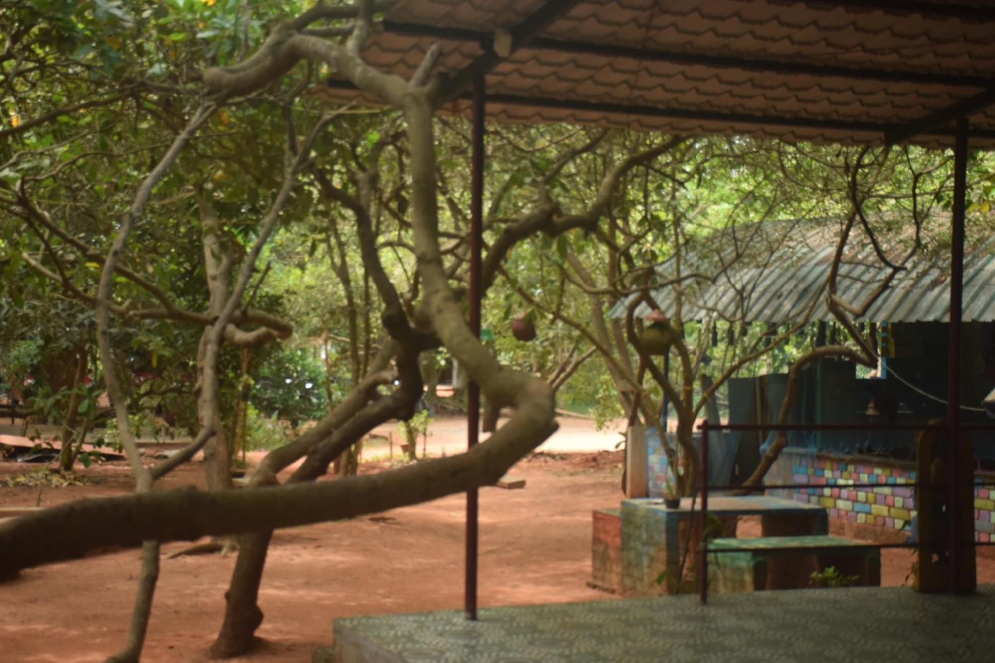 Travellers Crib Hotel Auroville Eksteriør billede